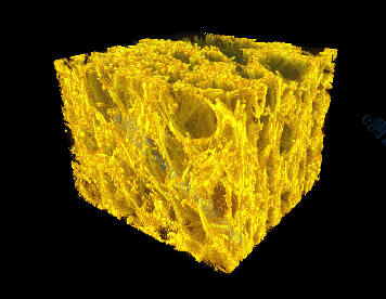 /information/image/2020/05/08/b1a8b679aed75b8a4f91dee004f7bc82.jpg 20170808152115_391.jpg