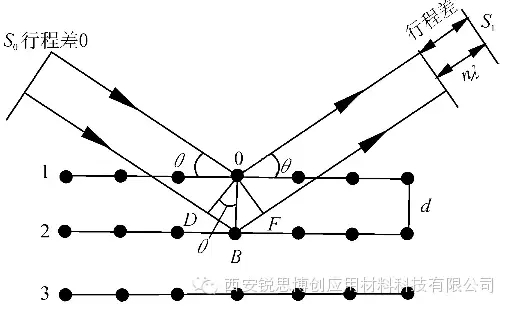 2.webp.jpg