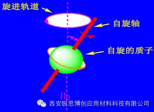 2.webp.jpg