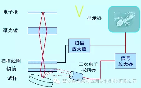 /information/image/2020/10/26/2c90c24c89da1604da984ac1d9f44428.jpg 1.webp.jpg