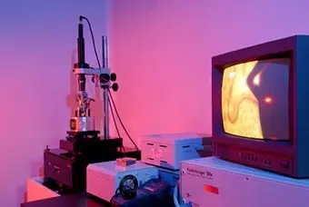 /information/image/2020/10/28/62823bacf6bf88f46b74dbfa369eb6b5.jpg 1.webp.jpg