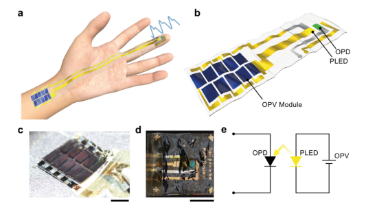 /information/image/2021/05/31/7897f58dc9c6e4d391d00ef65c861ecc.png image.png