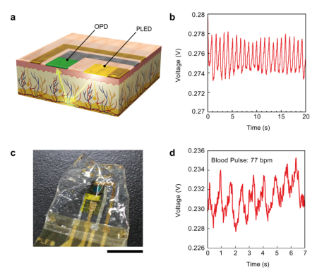 /information/image/2021/05/31/4410208398797bb79dc60d1454063a56.png image.png