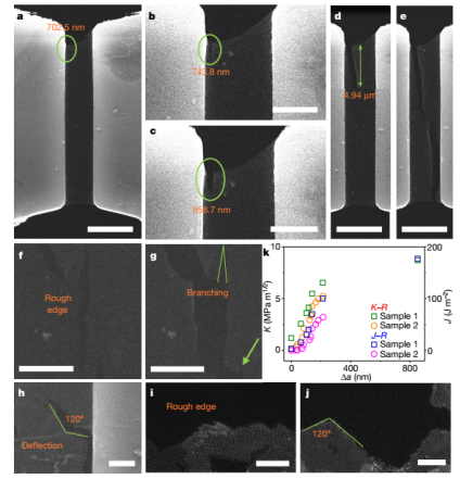 /information/image/2021/06/09/f31c2bc25e9afe6f10d7789cb5408805.png image.png