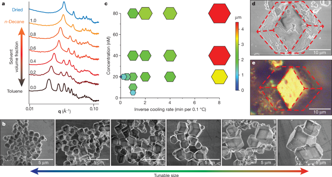 /information/image/2021/06/22/1892f5729c23e0e3b587a16756257400.png image.png