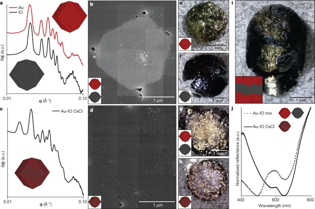 /information/image/2021/06/22/ba3ee0fc68575da032657c99e097870a.png image.png