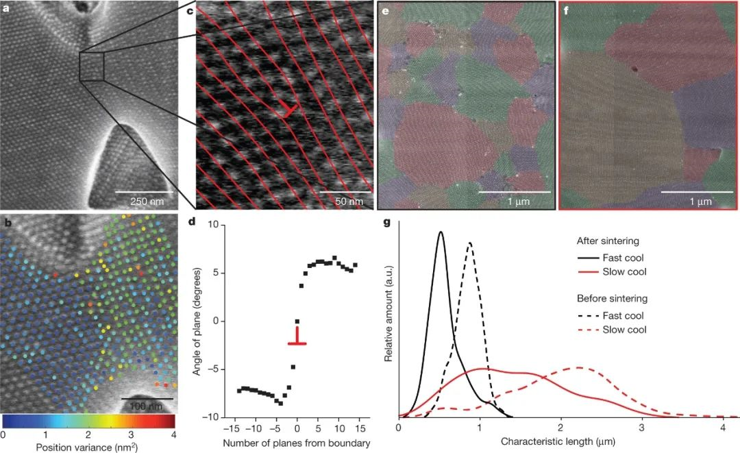 /information/image/2021/06/22/8a4c74a4fc8e163ce8c31bbebda083b3.png image.png