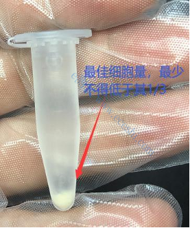 /information/image/2021/01/16/b1c85581ebeeecf9599747710d6794da.png 图片 2.png