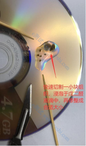 /information/image/2021/01/16/45529c1be86ba12aa60d961c01202788.png 图片 1.png