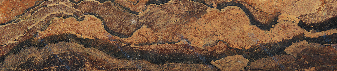 /information/image/2021/08/26/76901f9960aa8363ebe16f6adaf4da2e.png 18_06.png