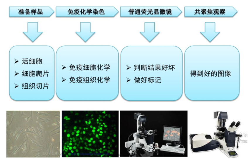 微信图片_20210907144000.png
