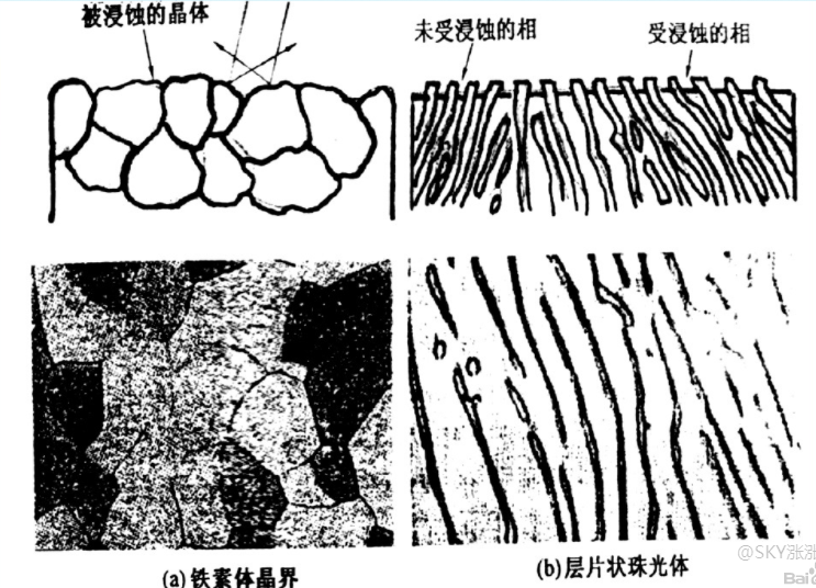 微信图片_20210907162458.png