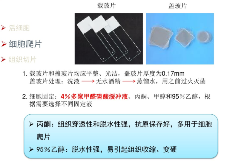 微信图片_20210907144347.png