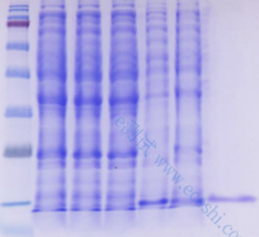 /information/image/2022/09/09/3fa7352979eeebe8f8fbec5ffbc83c38.png image.png