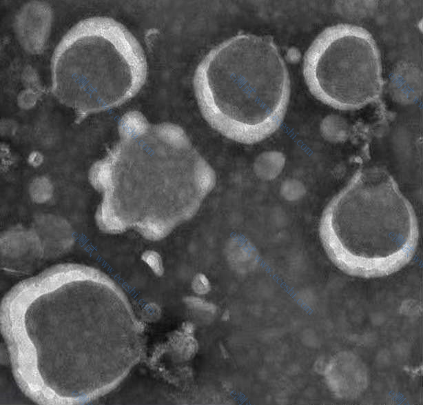 /information/image/2022/10/26/e7cf1d61e2c6b2cc04cecb22fc1b772e.png image.png