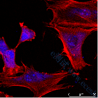 /information/image/2022/10/27/44d6b7c0e9b4f0a7753f60527b883136.png image.png