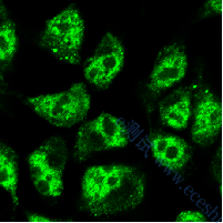 /information/image/2022/10/27/ffc968ac8975221df75757a7f79e08a2.png image.png