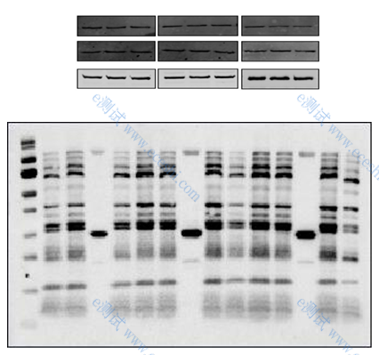 /information/image/2022/10/27/1d743cec7c7123c38e8feb5841a7e439.png 2.3.3.png