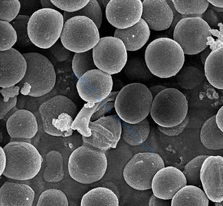 /information/image/2022/10/27/28297e9486c601511600f16eb16afec0.png image.png