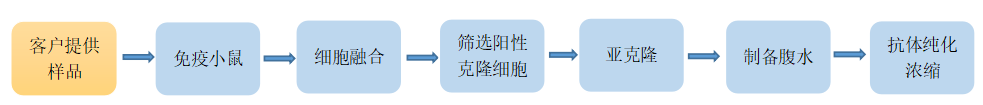/information/image/2022/06/24/b48cc542e6f6a3b531f2318276a3c1ff.png 72651f714897fab93a13343d864f5a9.png