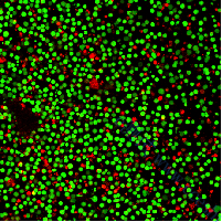 /information/image/2022/10/27/6435070ff01e195f273047fcf7a68761.png image.png