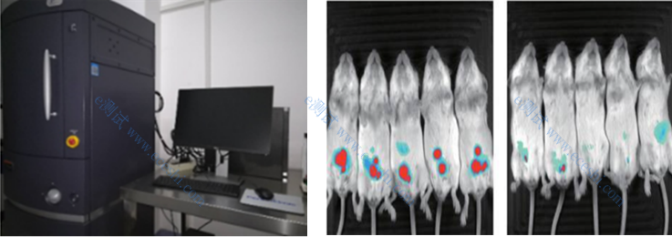 /information/image/2022/10/28/4113772564957f9bc64eb49b98d171c7.png 2.1.2.png