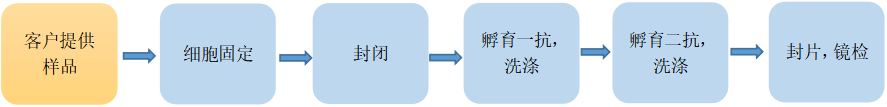 /information/image/2022/06/30/715e5270fa52cf3528e8a5104cd0ba23.png 免疫荧光.png
