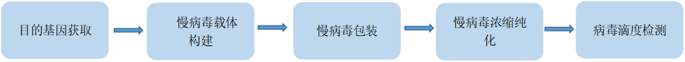 /information/image/2022/06/29/853a710dc1580b6d96104dae9ffe1eea.png 慢病毒.png