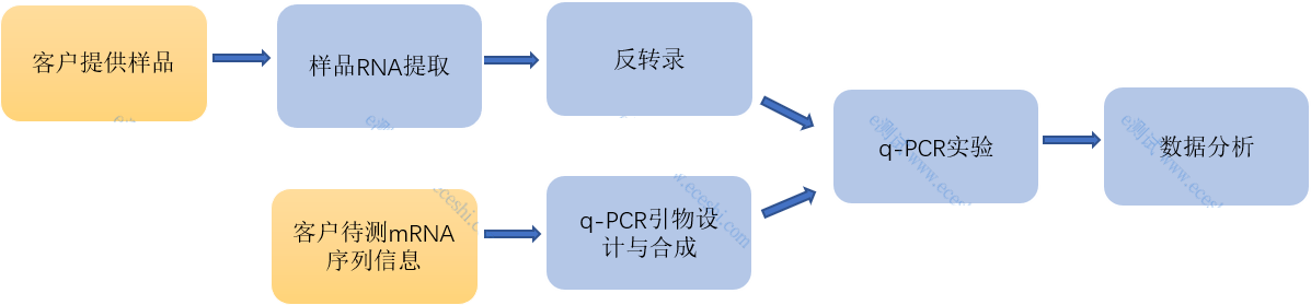 /information/image/2022/06/29/6a84d31bb737a3bd6b19a6426fe903d8.png qPCR.png