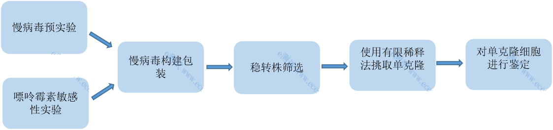 /information/image/2022/06/29/3cb3a5a6cfd420b981af907eb135d4d8.png 慢病毒.png