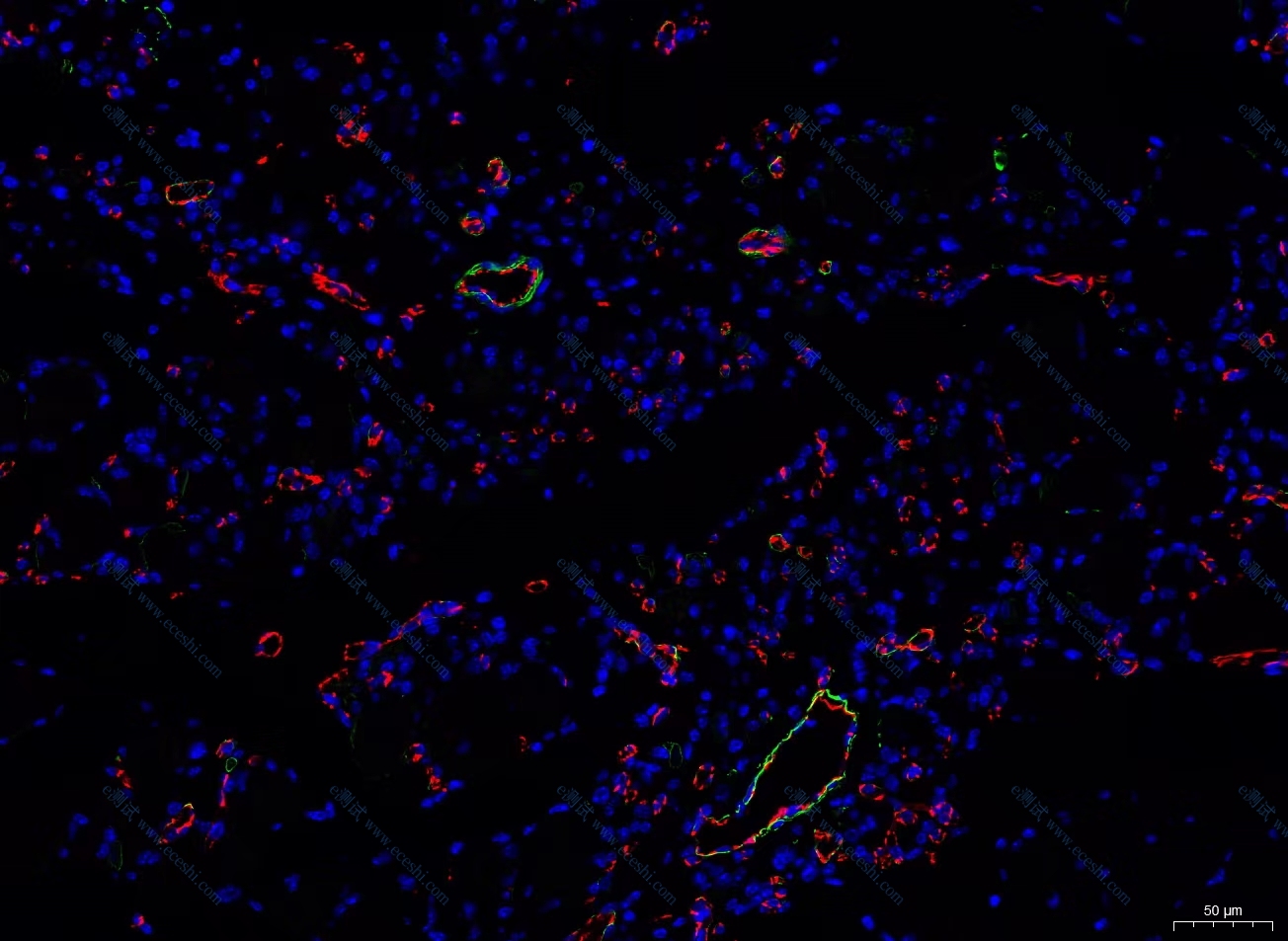 /information/image/2022/11/01/aaf23c39ecd7fb78f177a31d22618d6f.jpg 7c46565c83eb31f1afb47c05302b7d6.jpg