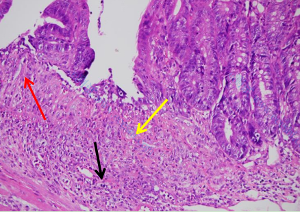 /information/image/2024/02/29/ef79592df54dc1eb62254e54937e3cef.png image.png