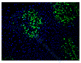 /information/image/2024/02/29/5ceadf4351661990f0cb1932254d235c.png image.png