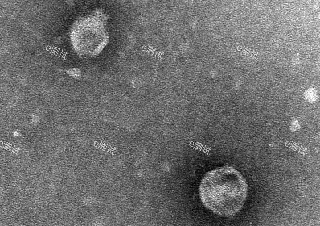 /information/image/2024/05/29/f0a36806fd3ce0d39a5f75bfc4524e09.jpg dcaf4b54c3e7f31d6c89daed527dba94.jpg