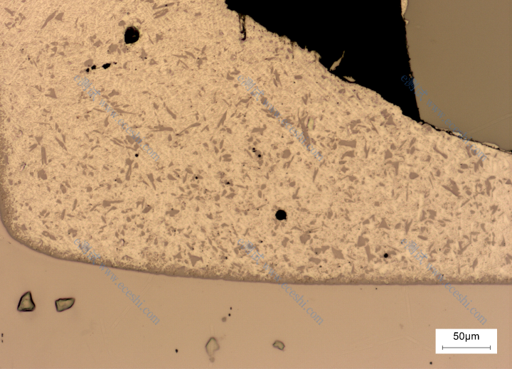 /information/image/2025/03/10/19c1c89d94c0ff378e34a40f93d0be6d.png image.png