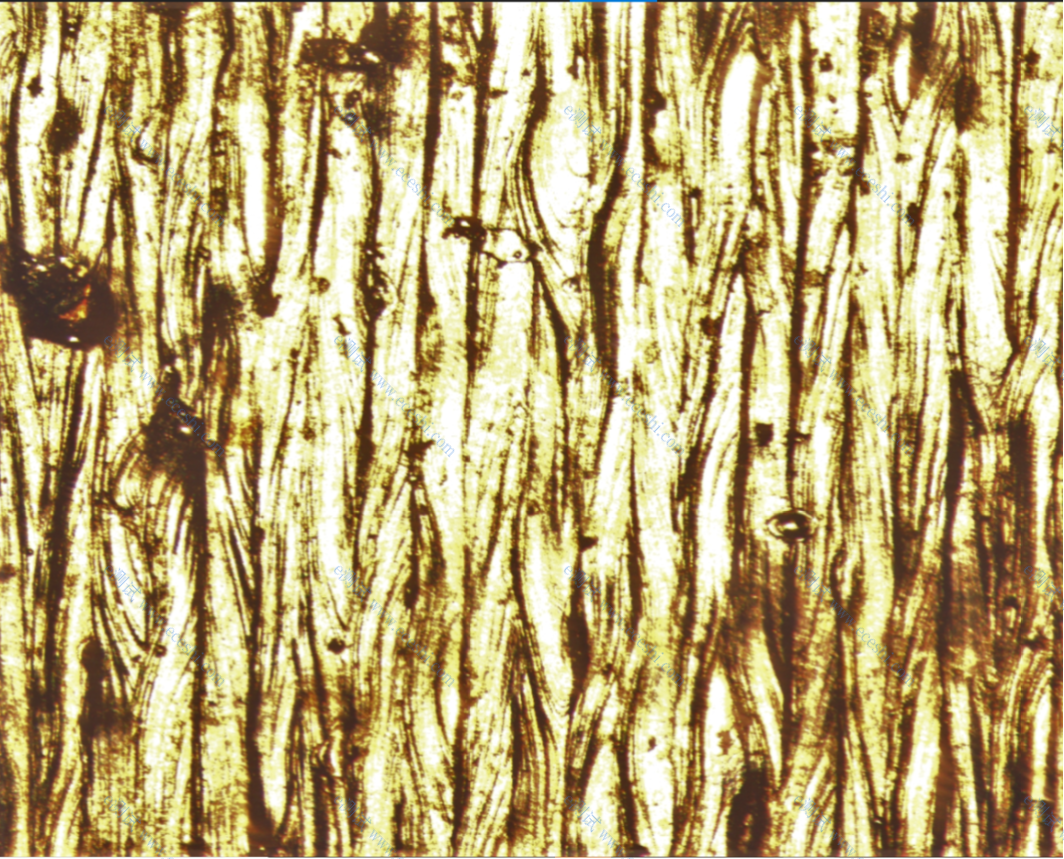 /ueditor/image/2020/02/04/5949699c5014430f1489589dc0ec626f.png image.png